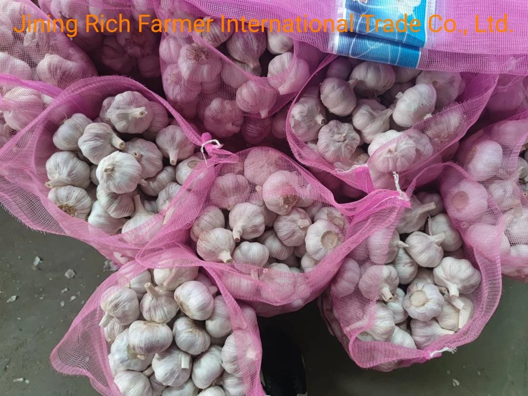 2022 China New Fresh Red Garlic Mesh Bag Packing in Bulk