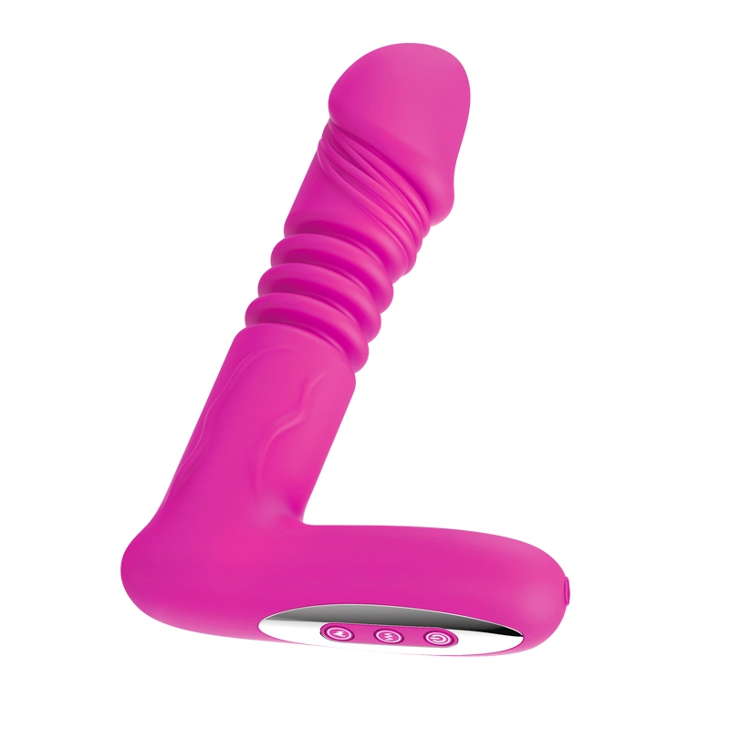 Plug Anal juguete sexual El masaje prostático sexo PRODUCTOS PARA HOMBRES