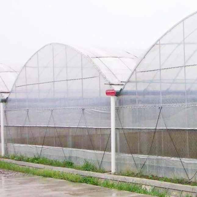 Multi-span Tunnel Jardin Shed Agro fleur chaleureuse maison Légumes Serre