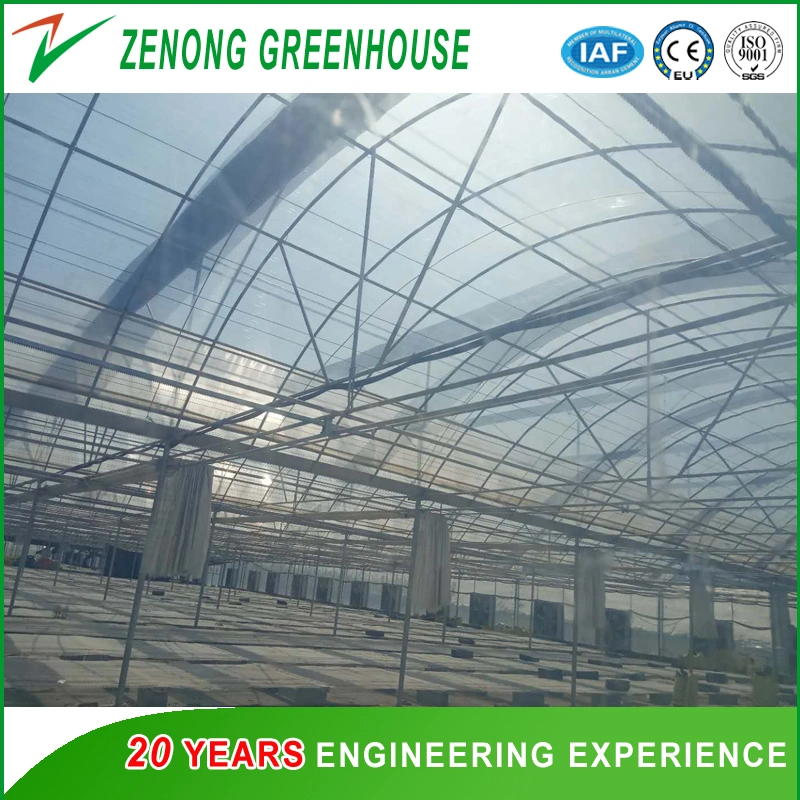 Modern Arch Roof Greenhouse with PC Board Surroundings and Plastic Film Roof