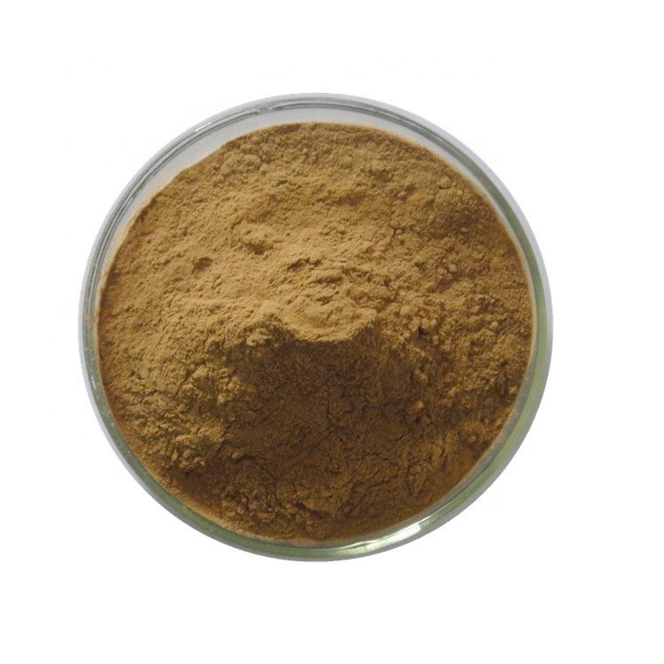 Factory Supply Green Coffee Extract Green Coffee Bean 10-50% Chlorogenic Acid