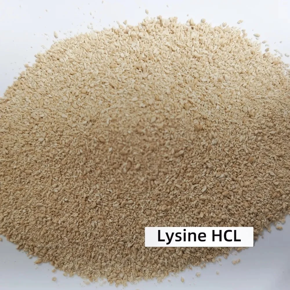 Alimentation en usine haute qualité 99 pureté L-lysine HCl cas 657-27-2 Avec meilleur prix et livraison rapide