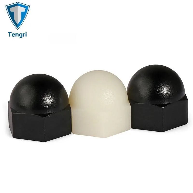 DIN 1587 Plastic Hexagonal Acorn Nut Nylon High Type Hexagon Cap Nuts with Internal Thread