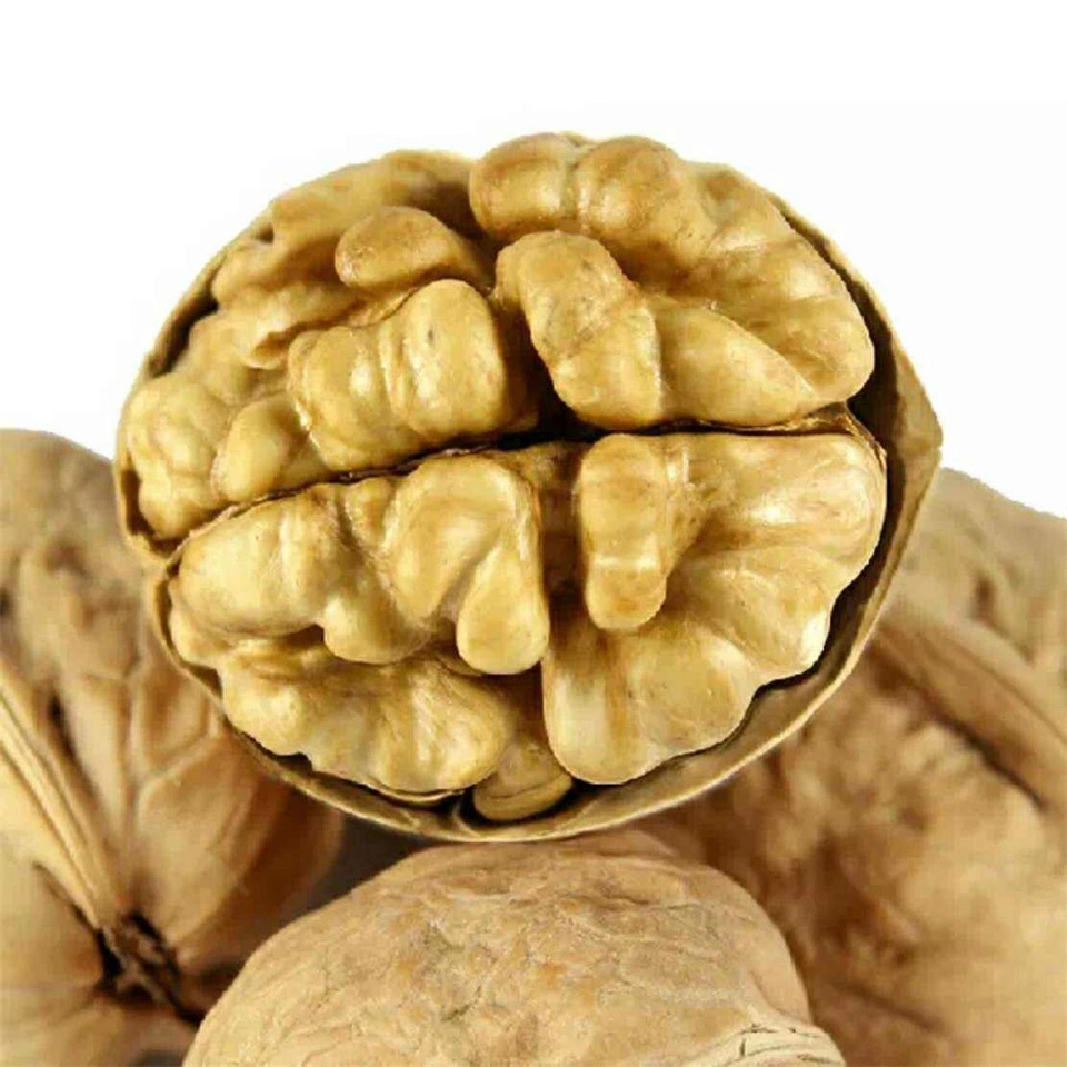 Dried Walnuts Kernels Top Grade