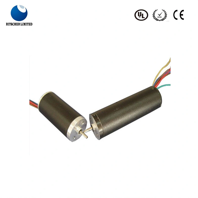 BLDC Micro Electric DC 24V Brushless Gear Motor for Scooter/Sewing Machine