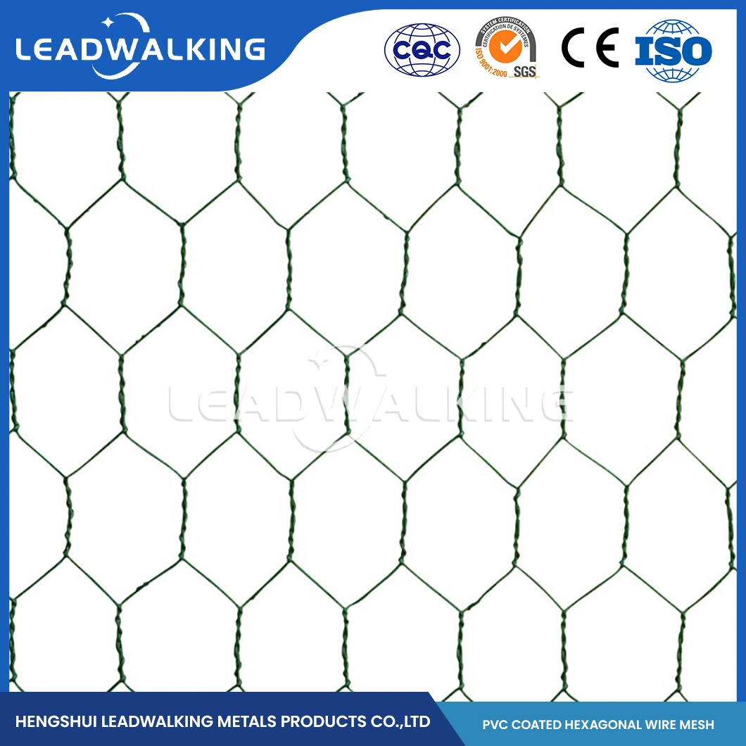 Fil en acier doux Leadwalking Matériel PVC enduites Fox La preuve de poulet de la Chine d'usine de treillis métallique à mailles de 5/8 pouce enduit de PVC maille hexagonale à tête hexagonale