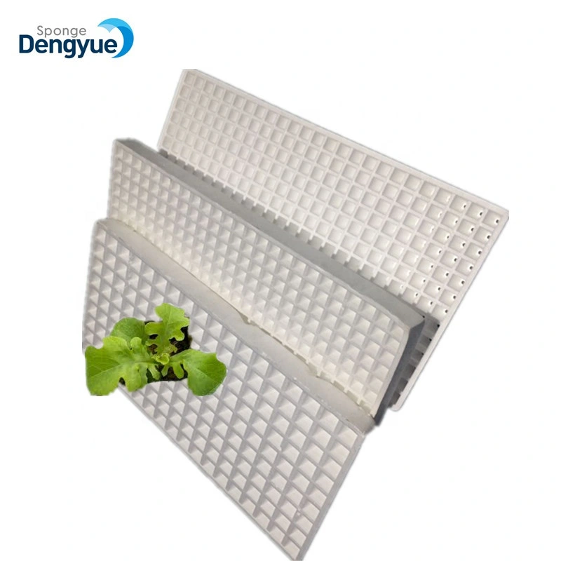 Light Weight Waterproof 200 Cells Hydroponic Polystyrene Seedling Trays