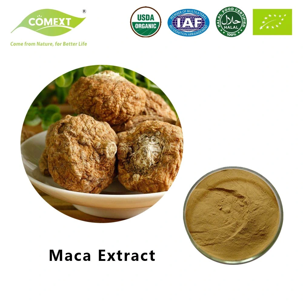 Comext Factory High quality/High cost performance  Competitive Price Natural Food Maca Root Extract Brown Yellow Powder 10: 1 0.6% Macamides for Male Health