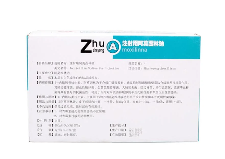 Amoxicillin Natrium für Injektion zur Behandlung von Gram-positiven und Gram-negative Bakterieninfektion empfindlich auf Amoxicillin