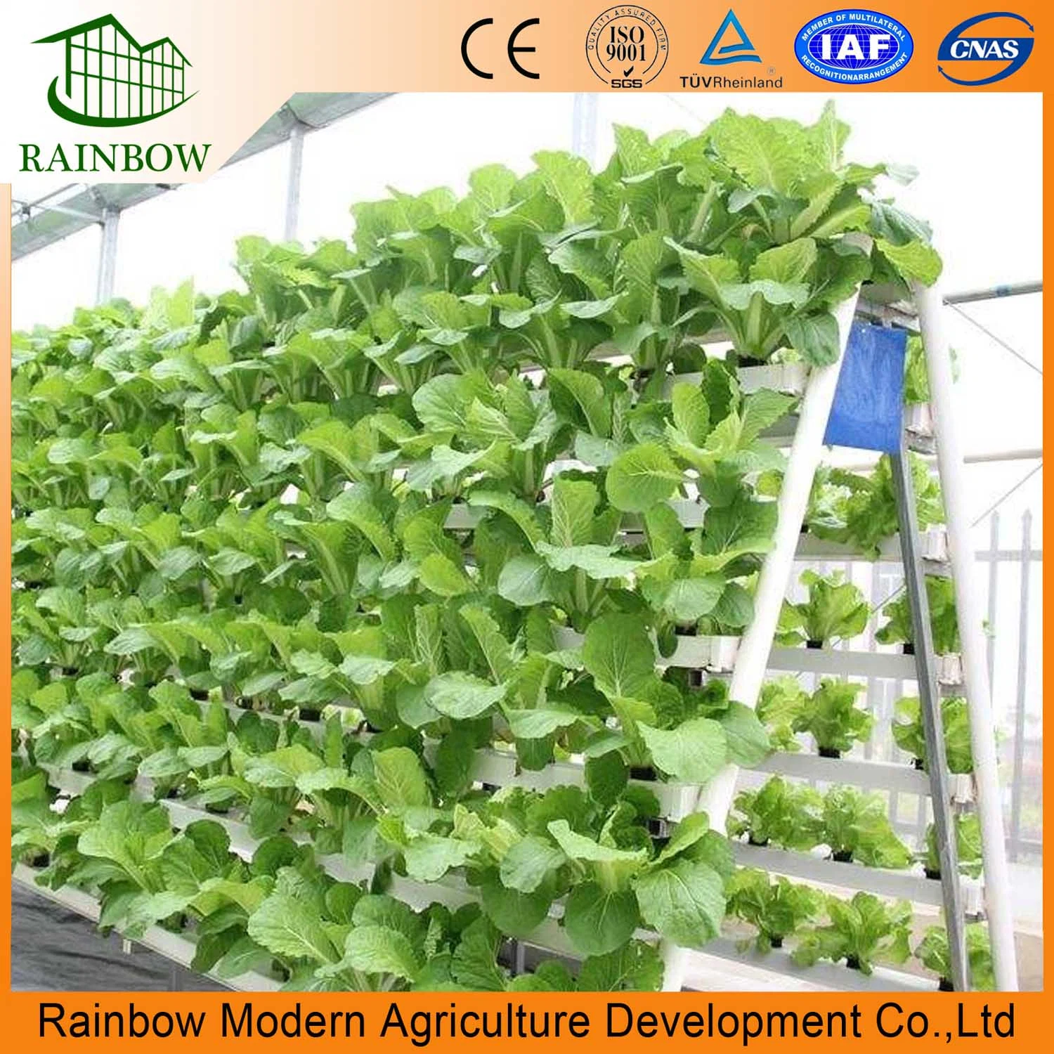 Hydroponic System Nft Hydroponics Nft System