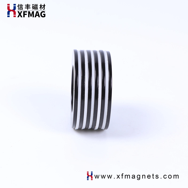 Neodymium Permanent Ring Four Magnetized Customized Epoxy Coated Strong NdFeB Magnet