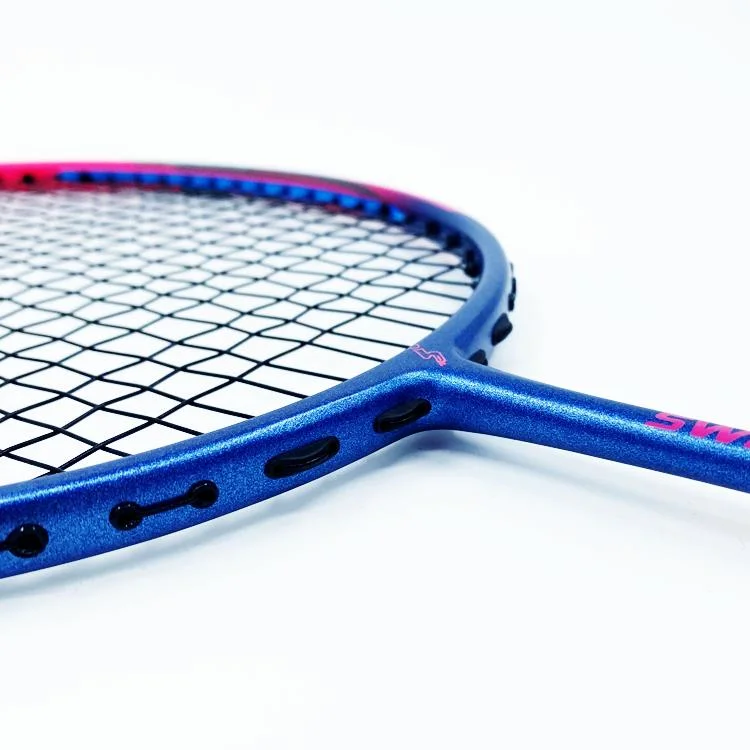 Dmantis D7 Wholesale/Supplier Professional Level Good Quality Badminton Racket Chinese Factory Direct Sale Customization