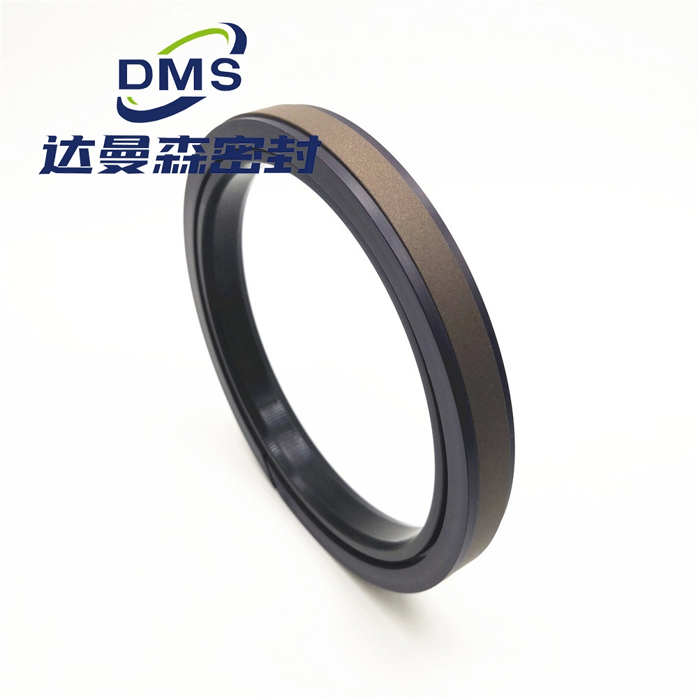 Bronze PTFE Engineering Mechanische Dichtung Spgw