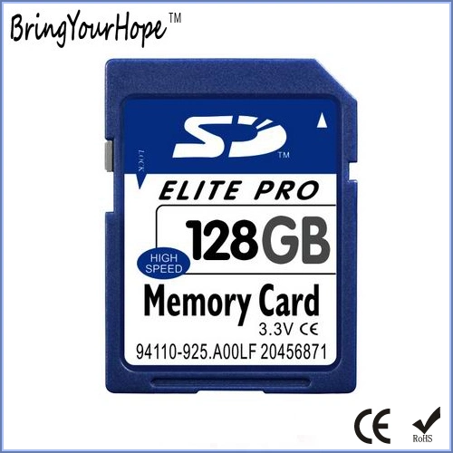 High Capacity 64GB SD Memory Card (64GB SD)