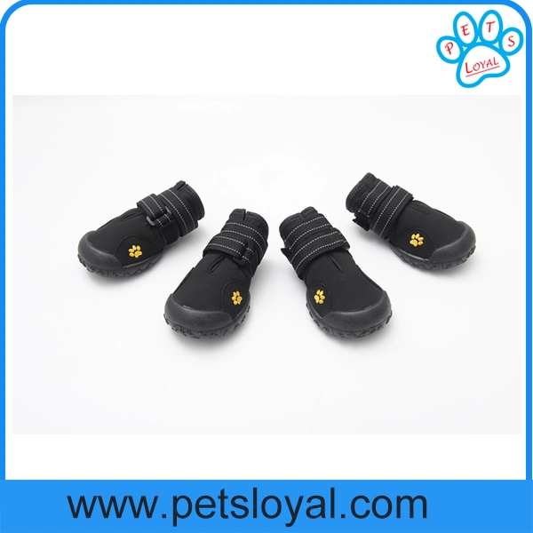 Amazon Standard Pet Shoes Dog Boots Factory Wholesale/Supplier