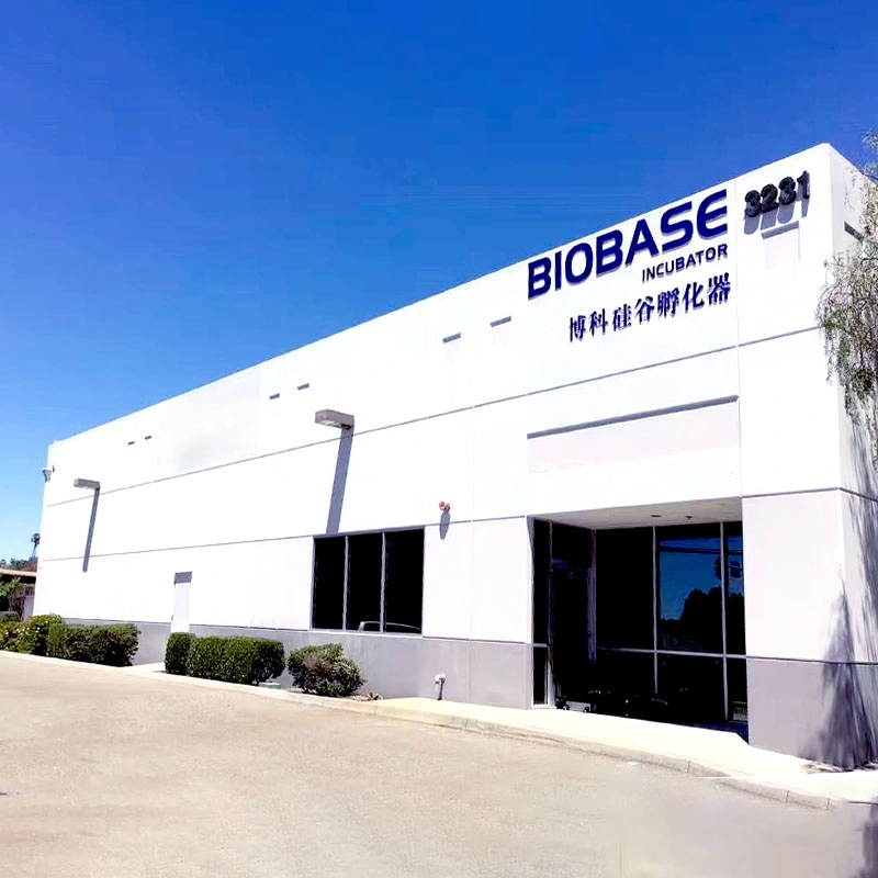 Biobase China Digital Display Vertical Hot Air Lab Vacuum Drying Oven Stainless Steel Vacuum Drying Oven