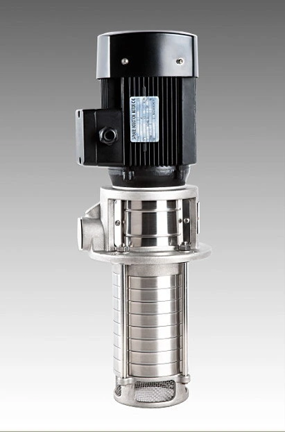 Stainless Steel Vertical Immersion Immesible Centrifugal Chemical Submerged Sump Pump