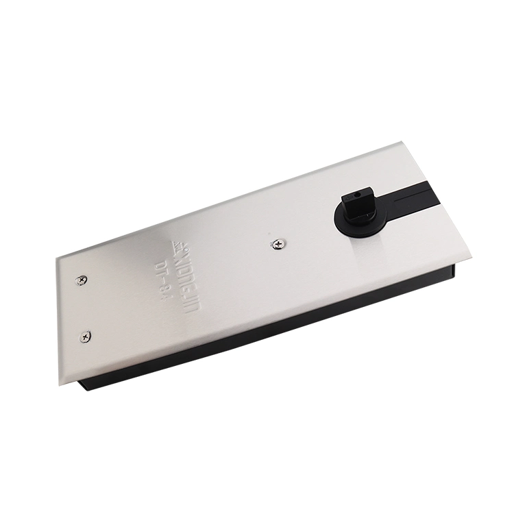 Hydraulic Heavy Duty Frameless Glass Concealed Door Closer Floor Spring