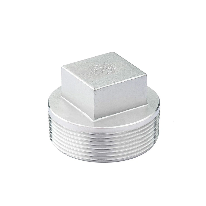 Stainless Steel 304 316 External Thread Square Plug