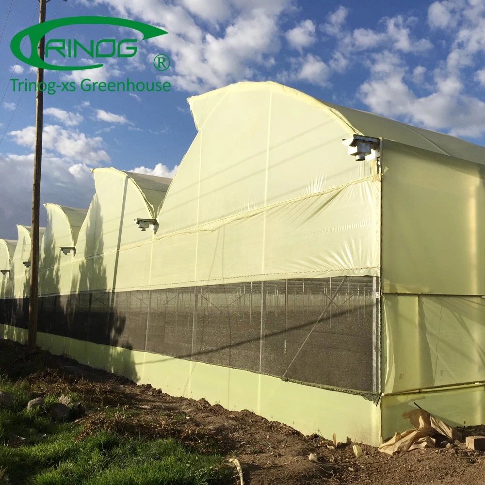 Po/ PE Film Greenhouse for Agriculture used