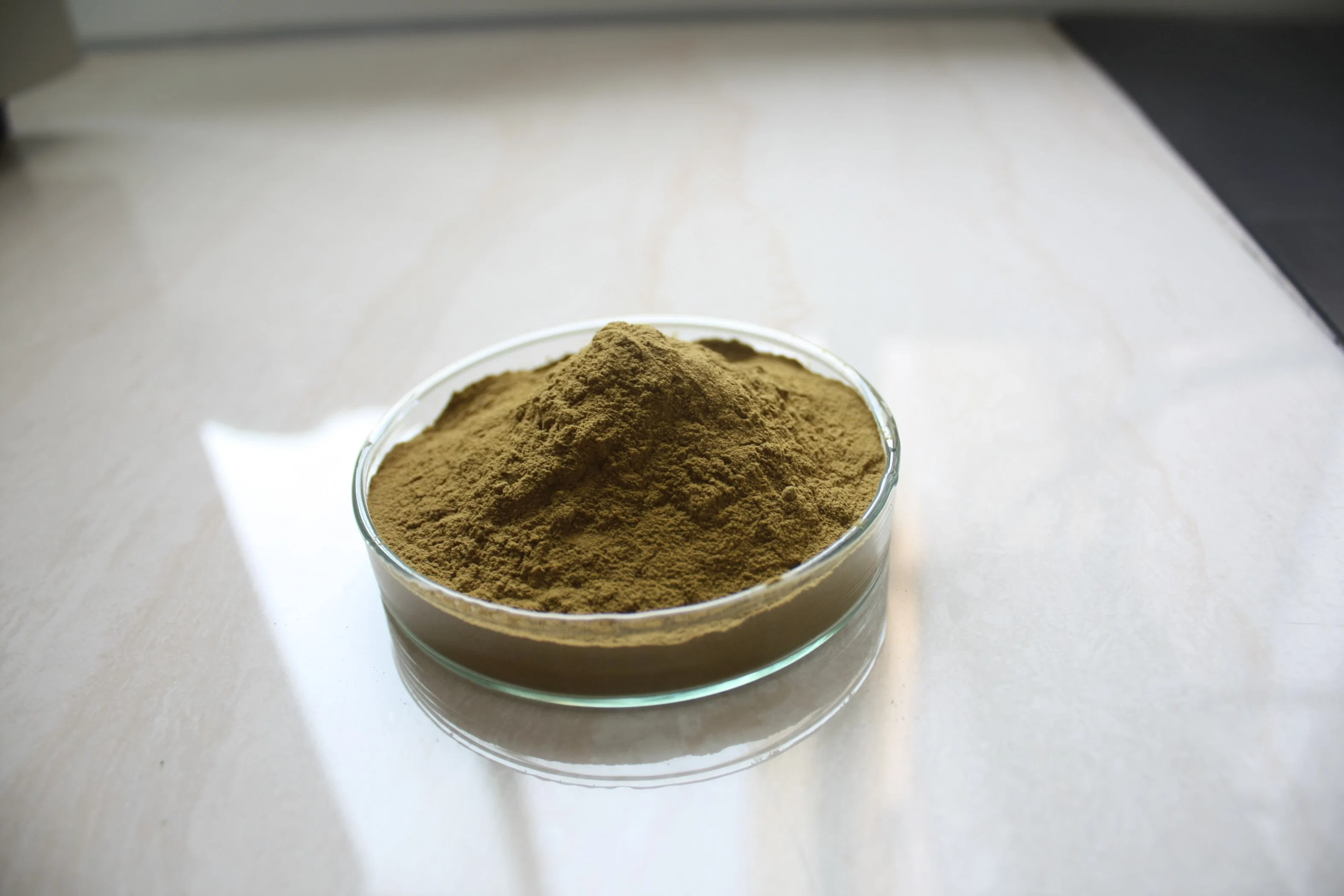 High quality/High cost performance  Plant Extract Green Tea Extract L- Theanine 20%, 40%, 98%