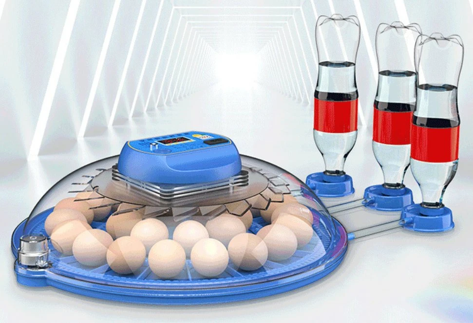 Fully Automatic New Automatic Adding Water System Mini Egg Incubator on Sale