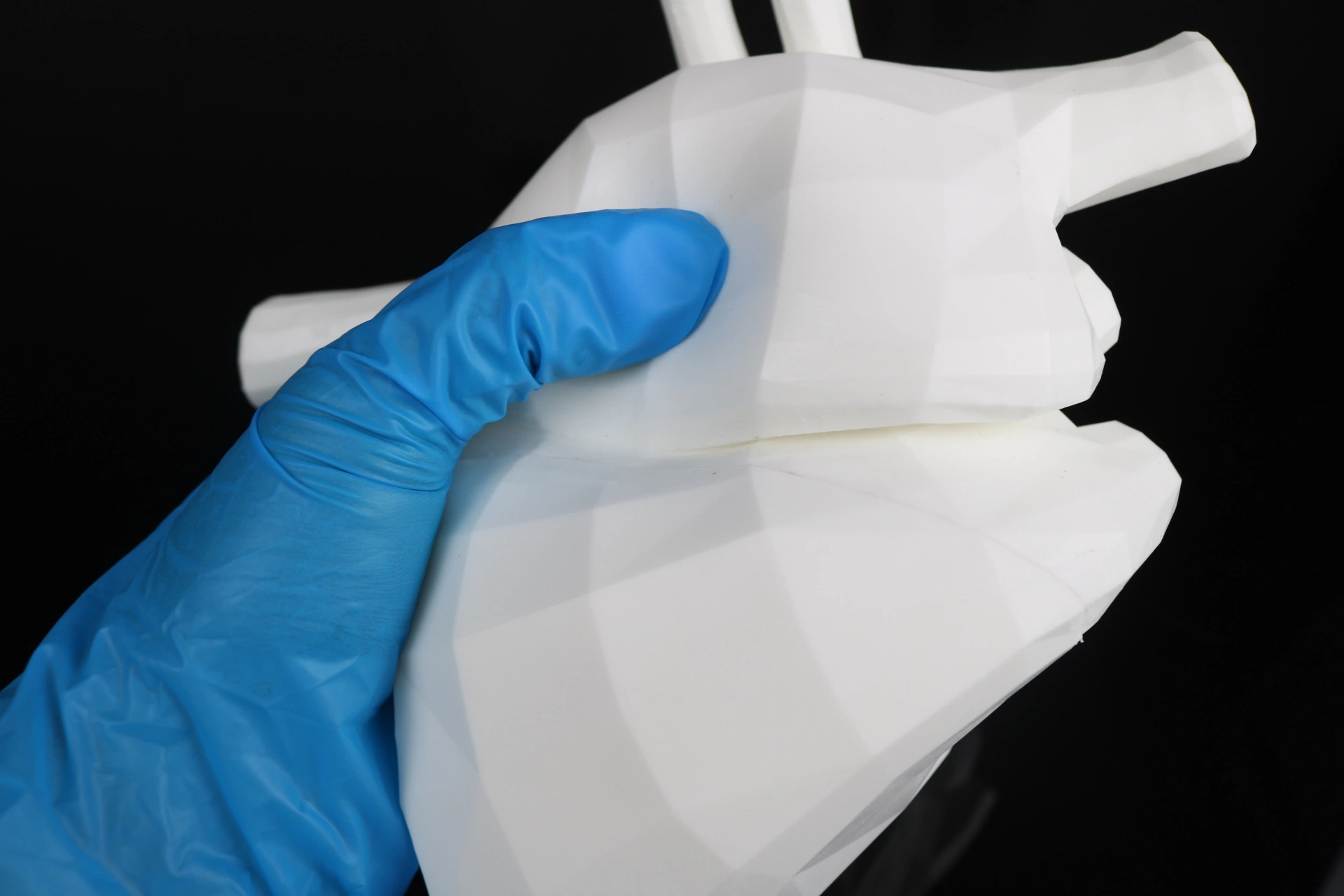 La mejor calidad de prototipado rápido de caucho blando corazón modelo 3D de molde órgano médicos Servicio de impresión