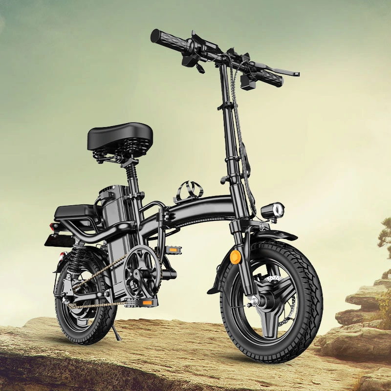 Batteries doubles Electric Fat tire Bike 1000W Chine Fabricant 20*4.0 Vélo électrique Fatbike 48V 30ah batterie amovible