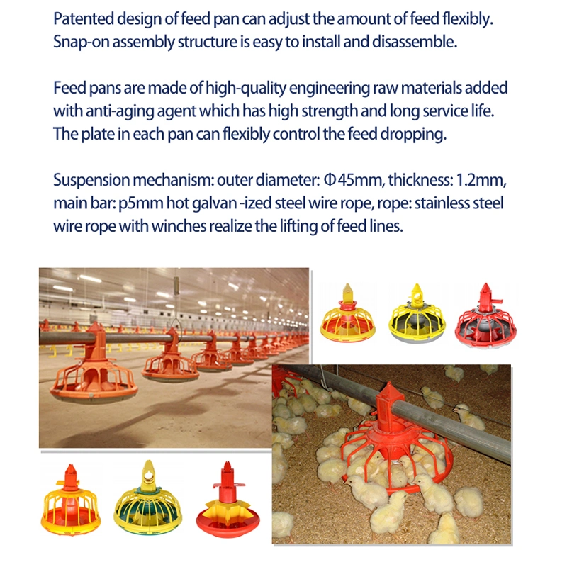 Cages de poulet intégrées TCA pour les éleveurs de poules systèmes automatisés fiables Élevage de volaille cage d'élevage de bétail matériel de volaille