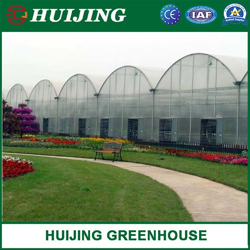 Gothic Multi Span Polycarbonate Greenhouse for Vegetables/Fruits/Flowers