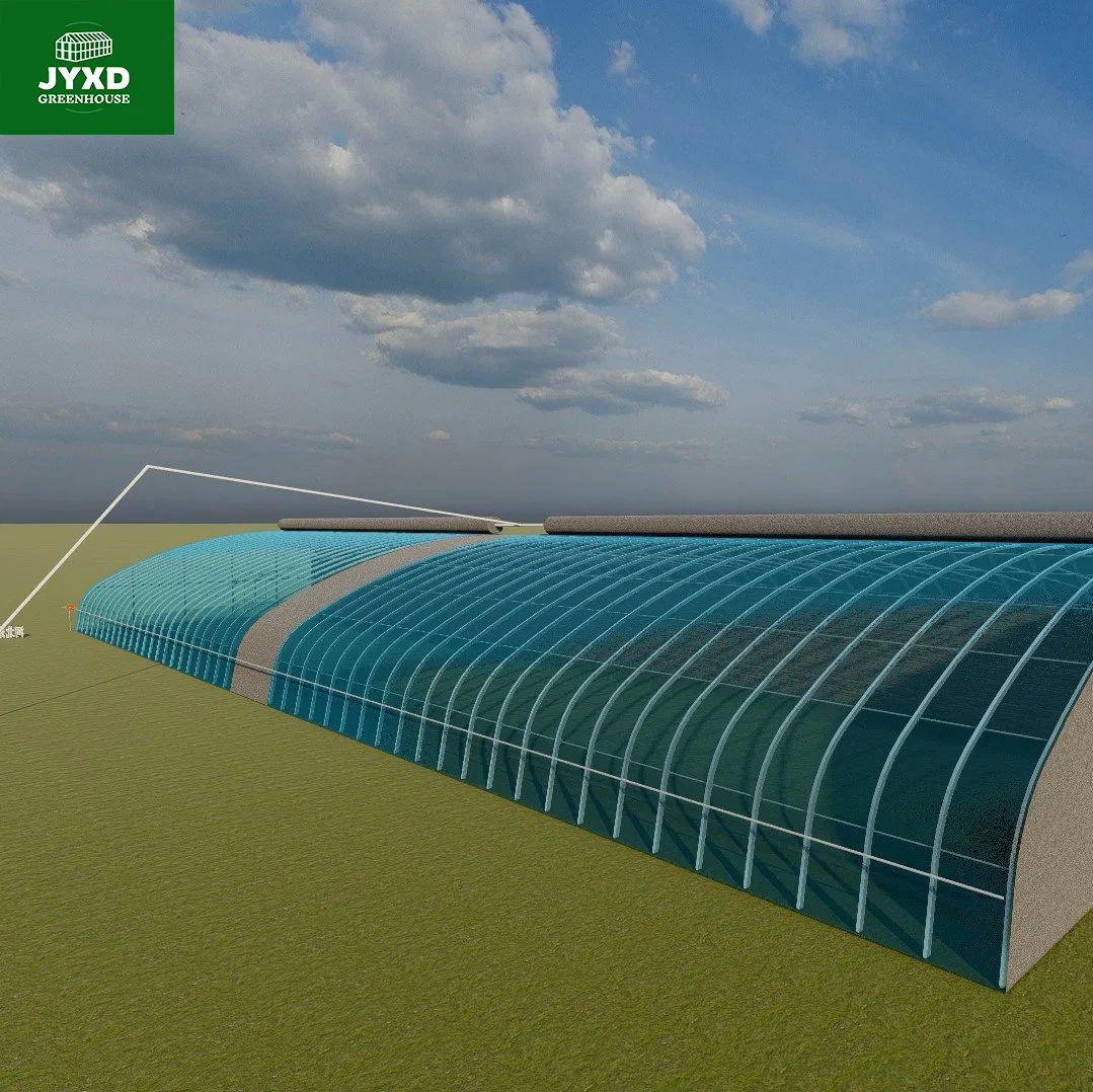 Commercial Agricultural Used Tunnel Greenhouse Plastic Film / Green House Cover for Vegetable