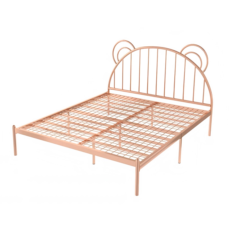 Children's Room Cute Princess Style Metal Bed