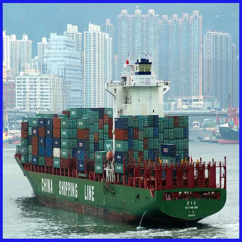 LCL or FCL Contanier Logistics Forwarder From Guangzhou/Shenzhen to Santos Brazil