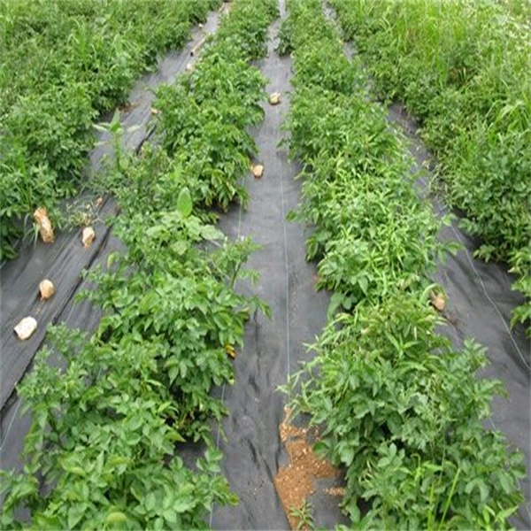 Weed Barrier Landscape Fabric, Heavy Duty Woven Garden Ground Cover, Gardening Mat, Advanced Weed Control for Vegetable Garden Bed Mulch