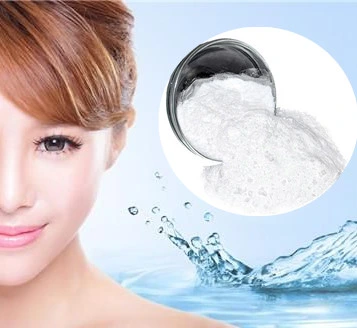 China New Efficient Skin Softening Factor Acetylated Sodium Hyaluronate Powder