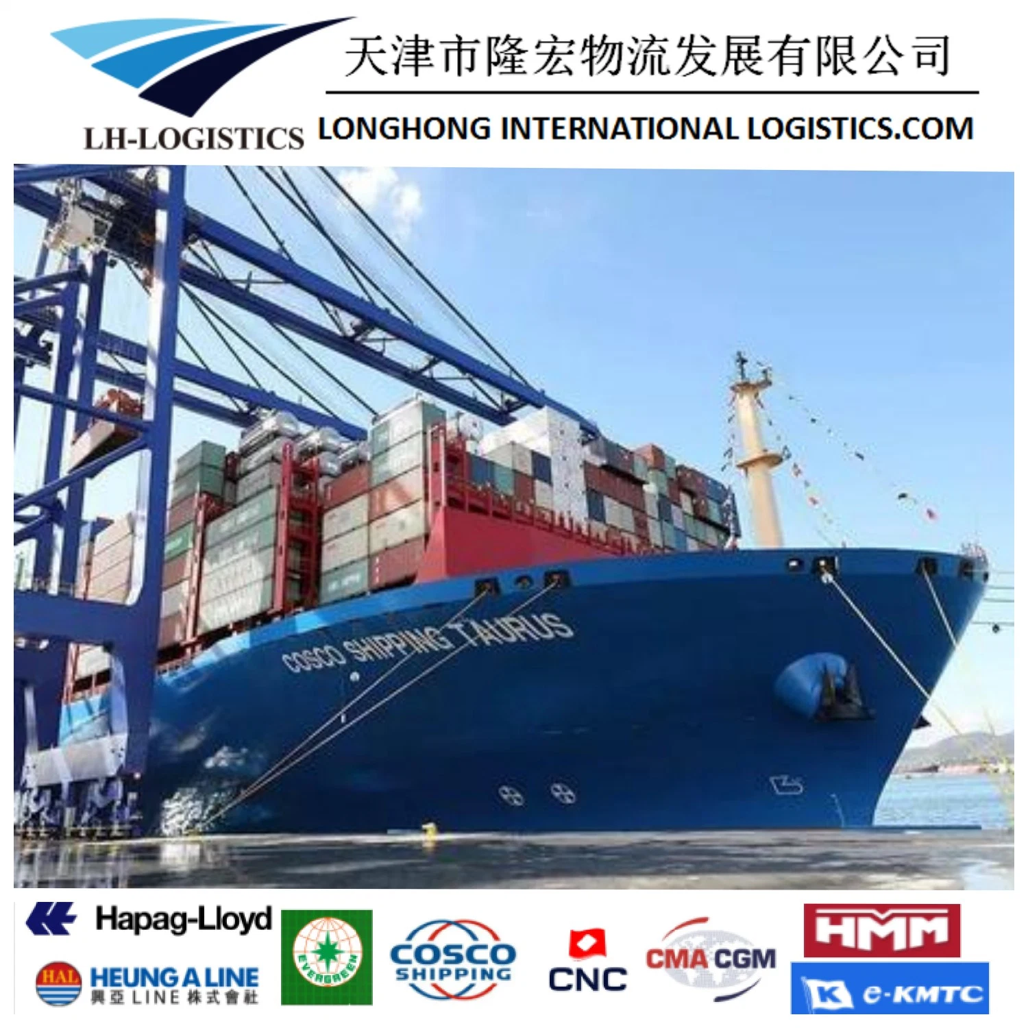 Bester Versandagent Luft-/Seefracht von China nach Lettland/Riga/Polen/Litauen/Klaipeda/Freight nach Estland/Liepaja/Rumänien/Kroatien/Bestes China