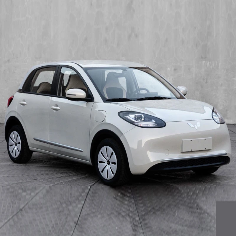2023 Nuevo vehículo eléctrico Wuling Bingo EV totalmente cerrado Mini Vehículo eléctrico