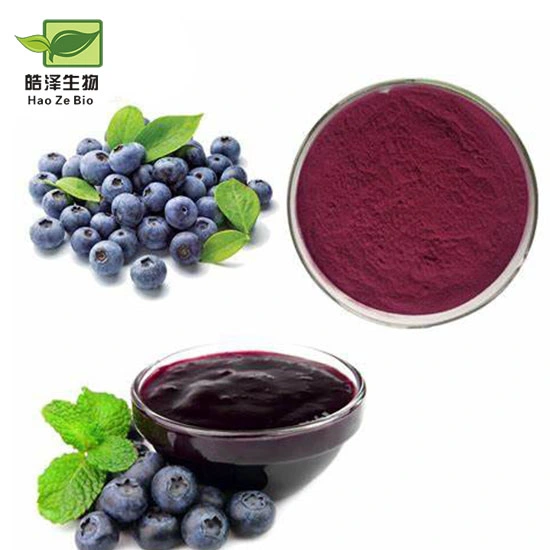 100% Natural Food and Beverage Organic Fruit Extract Freeze Dried Blueberry Powder