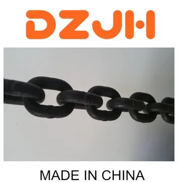 Stainless Steel Chain for Architectural Needs