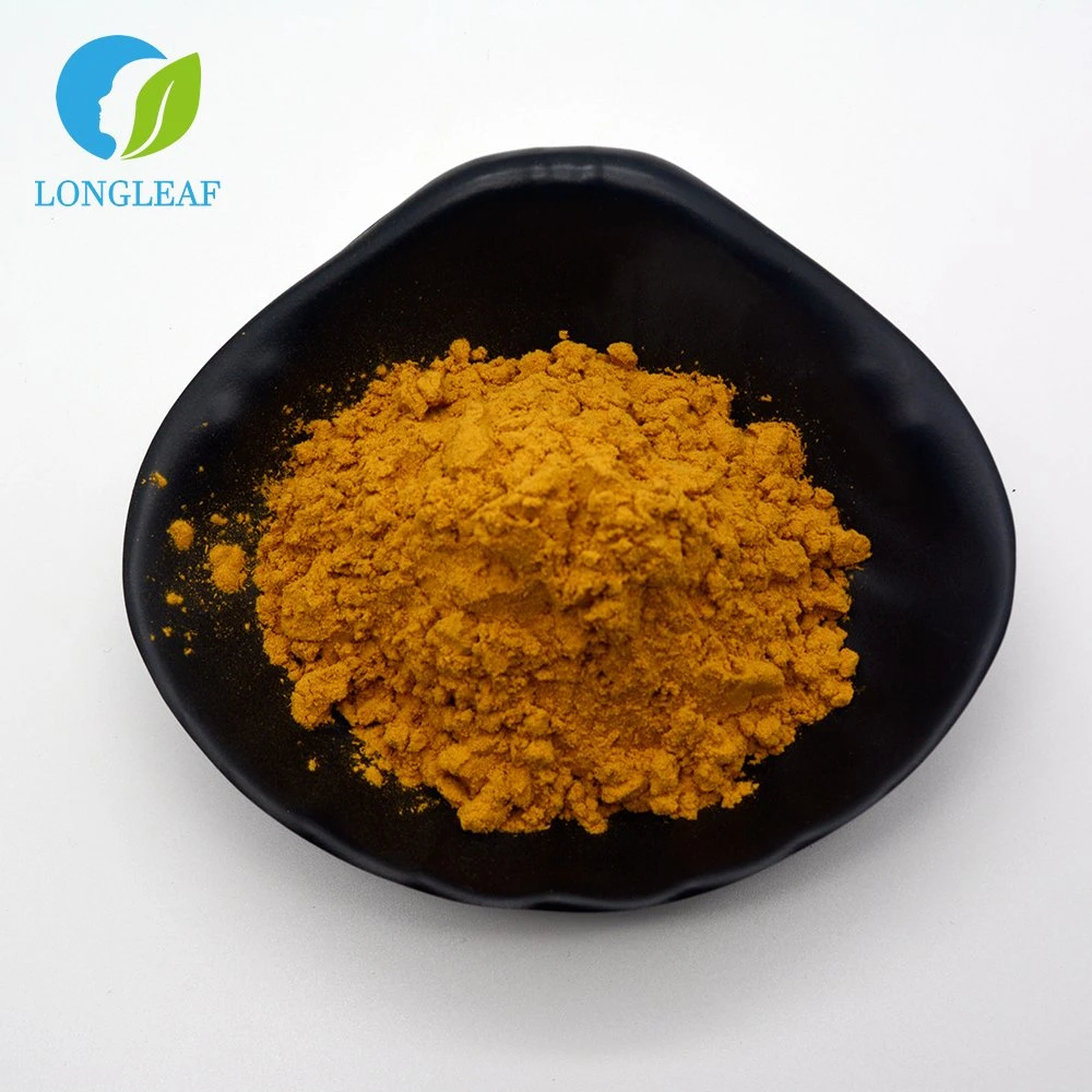 High quality/High cost performance Low Price Hot Sale Supply Quercetin Powder at Wholesale/Supplier