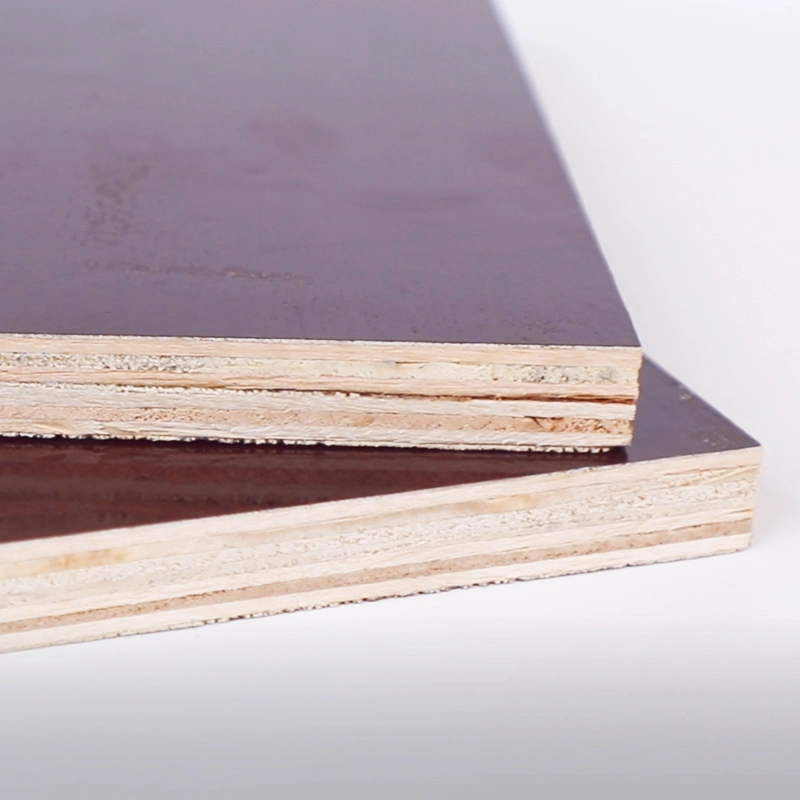 Building Material Film Faced Plywood Natural Veneer Construction Plywood