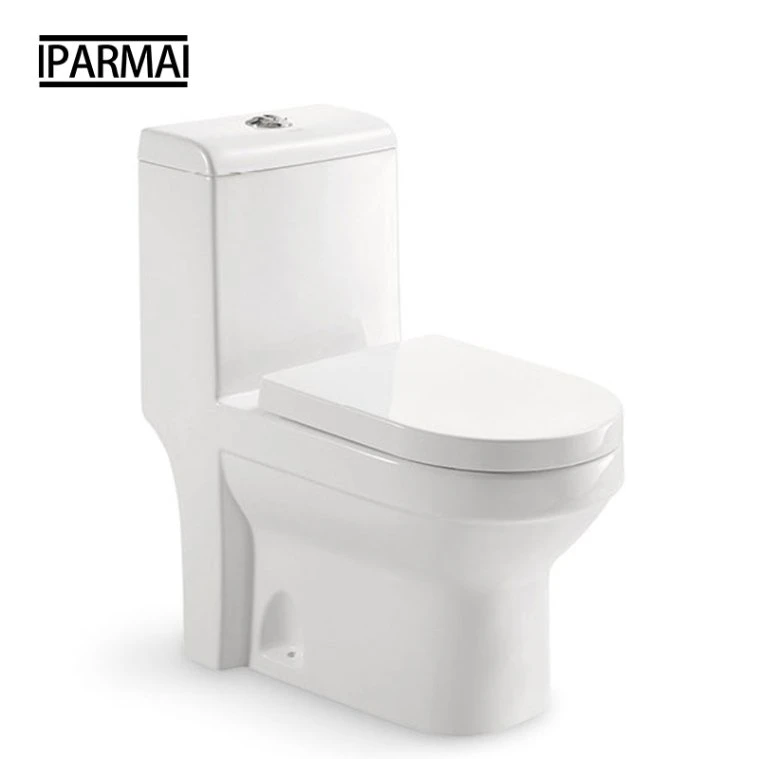 Floor Mounted Toilet Ceramic Bathroom Sanitaryware Washdown Wc Toilet