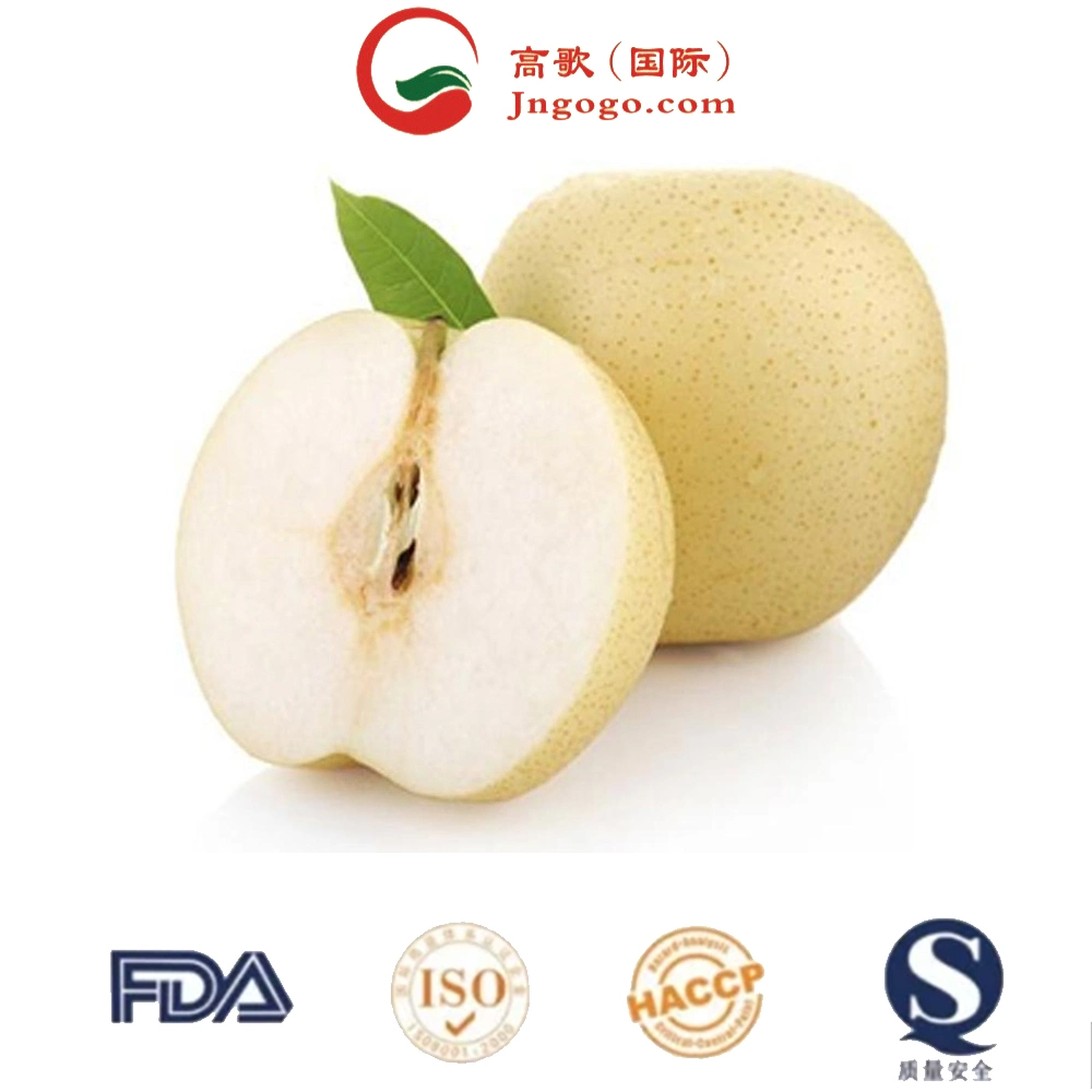 Chinese Fresh Yellow Pear Vitamins Fine Top Grade High Sugar