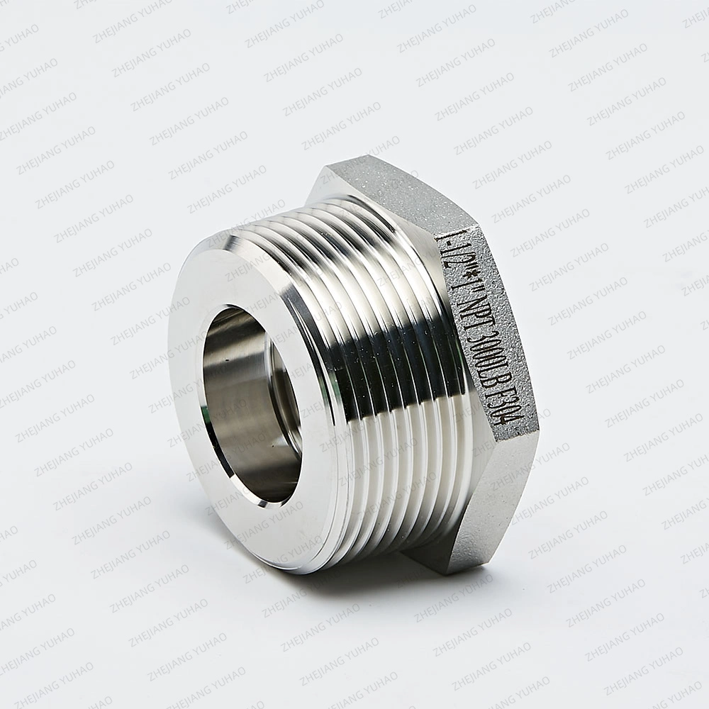 Bushing Stainless Steel Pipe Fitting Female NPT Thread Male NPT Thread Hex Bushing 3000lbs