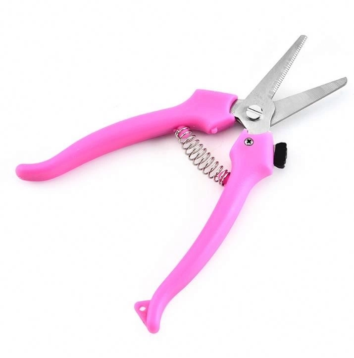 Steel Professional Picking Fruit Plant Scissors with Groove and with Plastic Handle for Grape Pruning