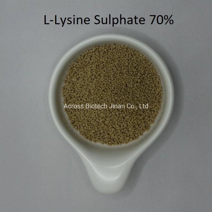 Wholesale/Supplier L-Lysine Sulphate 70% Feed Grade for Cattle/Pig/Poultry