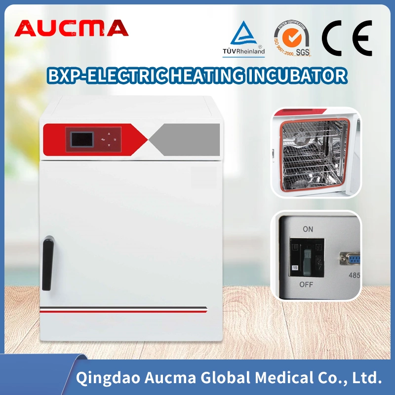 Incubadora de temperatura constante eléctrica Equipo de laboratorio de instrumentos de laboratorio de mejor venta Termostato