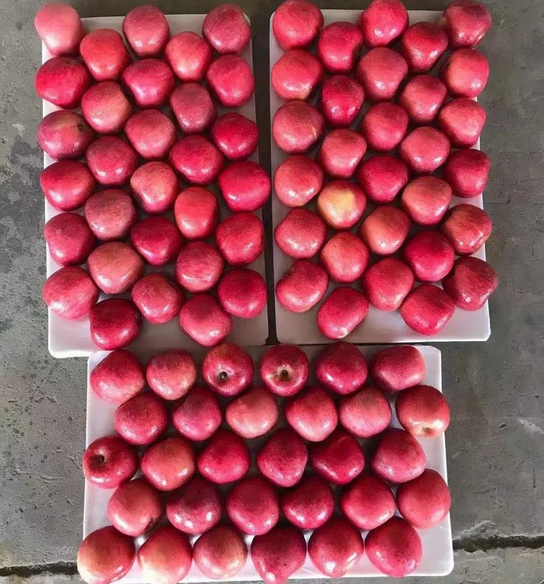 El sabor natural de buena calidad Premium de la capa de cinco manzanas Fuji rojo en el mercado de Nepal