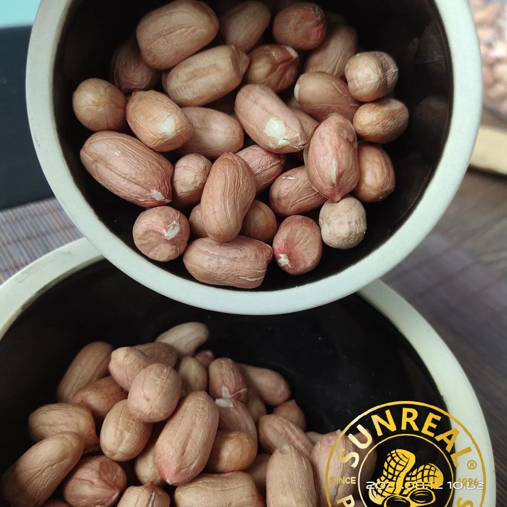 Raw Peanut Kernels/Virginia 24/28 الصين / كل التراخيص والشهادات الضرورية / علامة تجارية موثوق بها