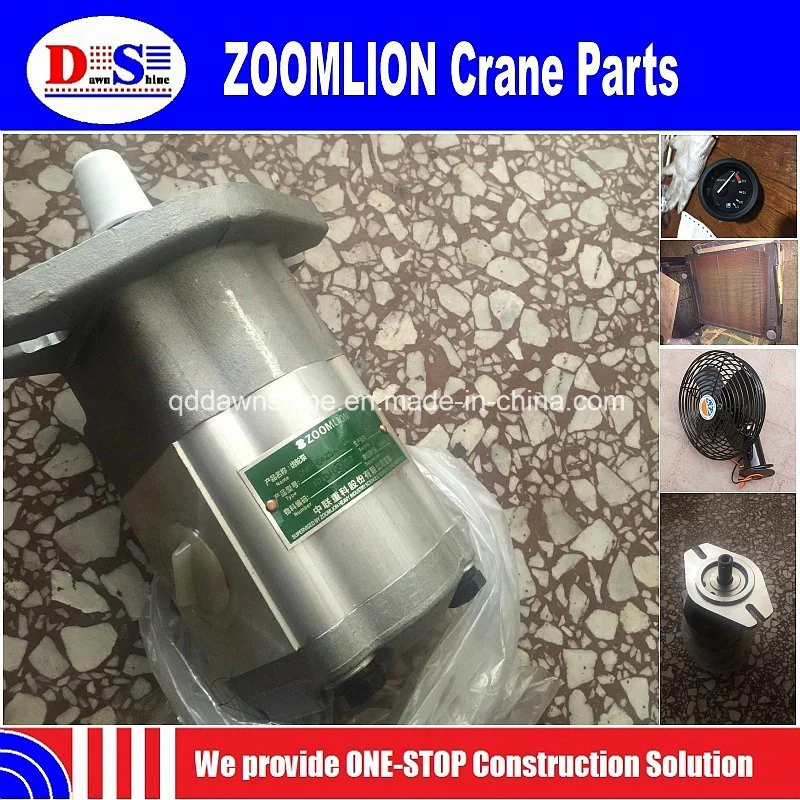 Chinese 50 Ton, 70 Ton, 75 Ton Spare Parts Zoomlion Crane